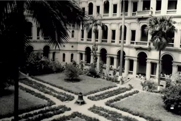 1979 Sino ainda sem suporte no jardim interno