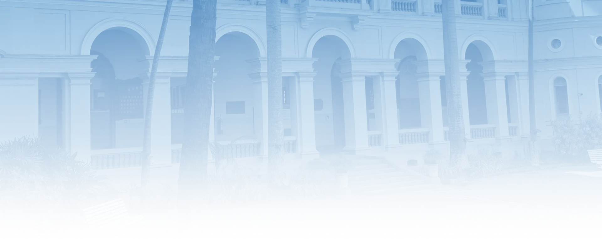 Background banner Cultura do Cuidado