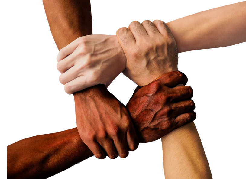 CSI busca formar rede de parceiros para fortalecer a Cultura do Cuidado